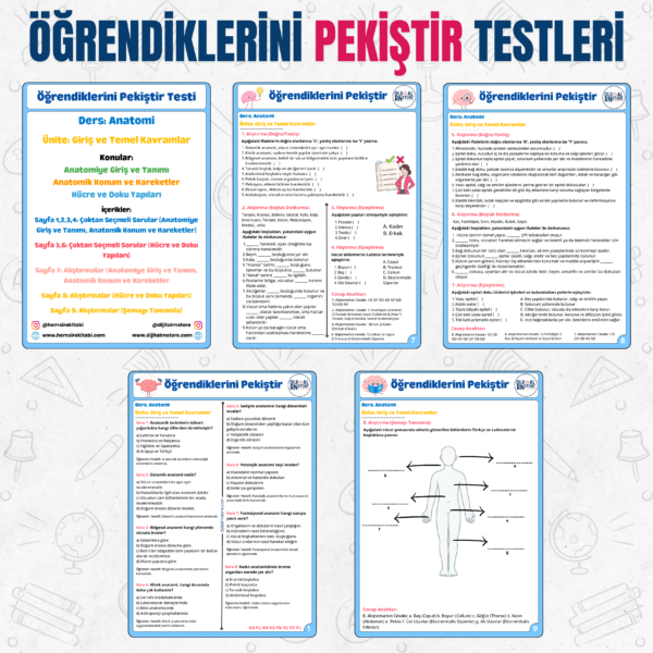 Anatomi Dijital Ders Kartları - Giriş ve Temel Kavramlar Ünitesi - Görsel 4